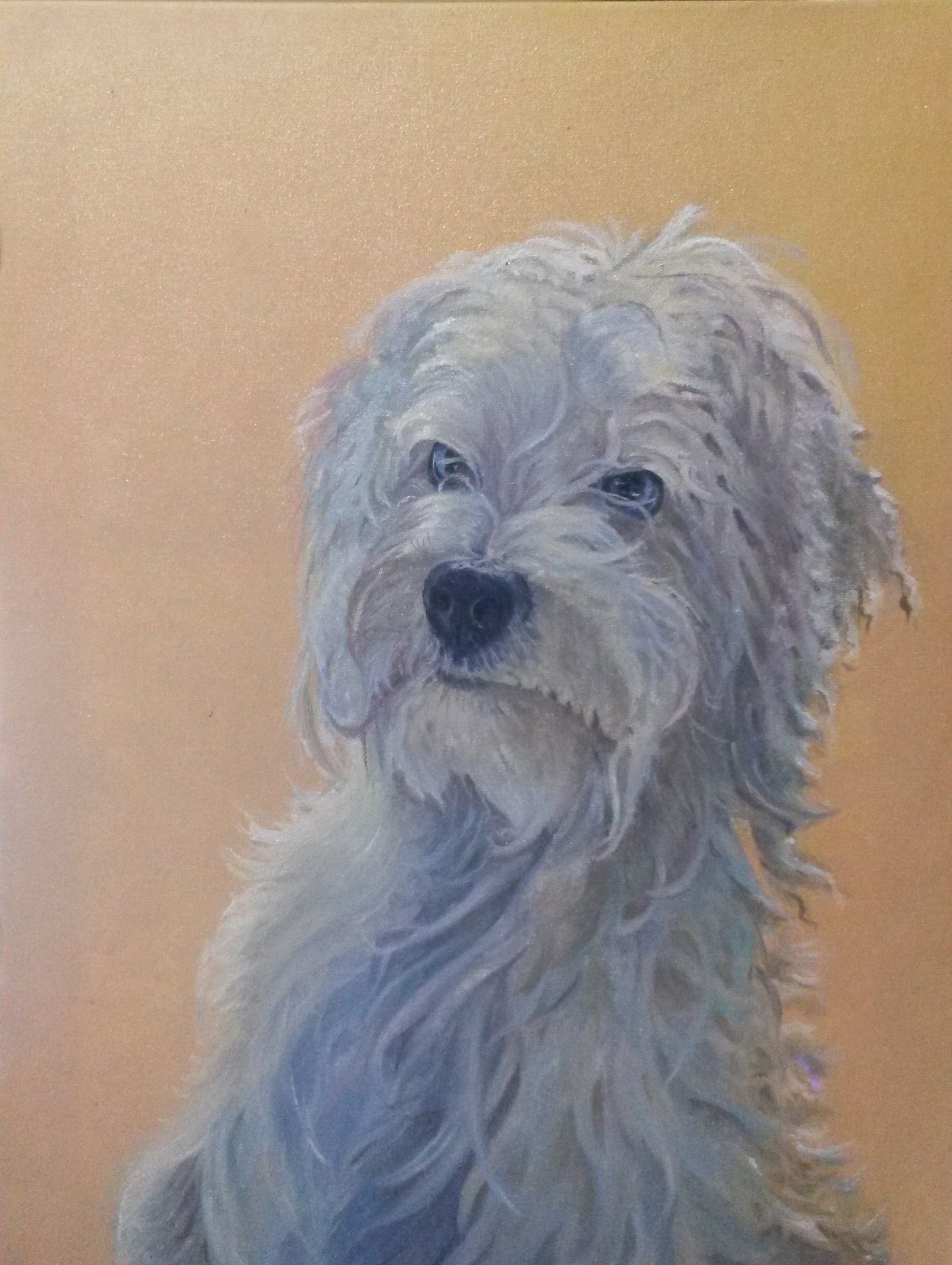 Guarde uma recordação de seu amigo de estimação em uma bela pintura em tela.